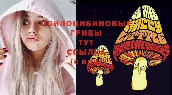 спиды Беломорск