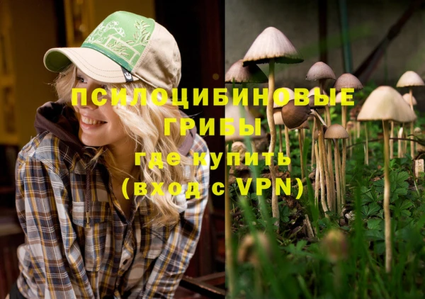 твердый Белоозёрский